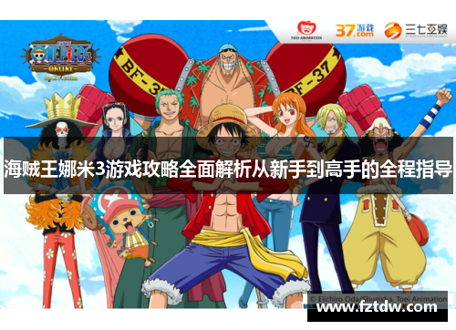 海贼王娜米3游戏攻略全面解析从新手到高手的全程指导