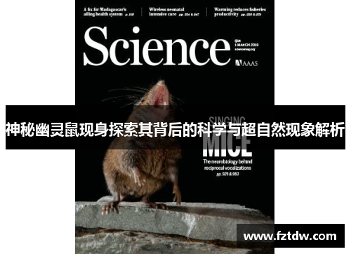 神秘幽灵鼠现身探索其背后的科学与超自然现象解析 神秘幽灵鼠现身探索其背后的科学与超自然现象解析