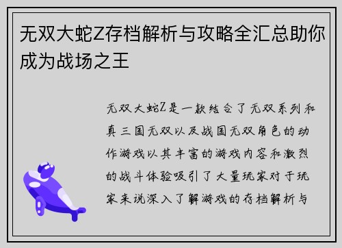无双大蛇Z存档解析与攻略全汇总助你成为战场之王